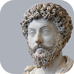 The Stoic 4.0.6