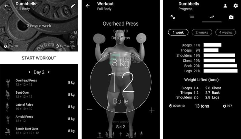 https://media.imgcdn.org/repo/2023/03/dumbbell-home-workout/dumbbell-home-workout-free-download-01.jpg