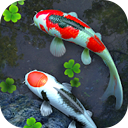 Water Garden Live Wallpaper