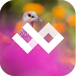 WildPapers – Wildlife Photos v1.0.2