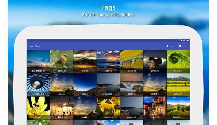 https://media.imgcdn.org/repo/2023/03/f-stop-gallery-pro/f-stop-gallery-pro-free-download-02.jpg