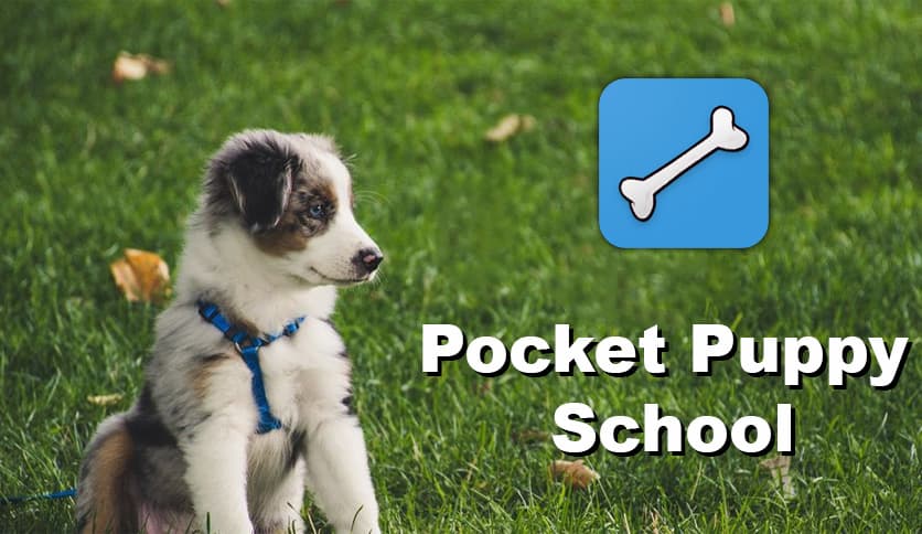https://media.imgcdn.org/repo/2023/03/pocket-puppy-school/pocket-puppy-school-free-download-01.jpg