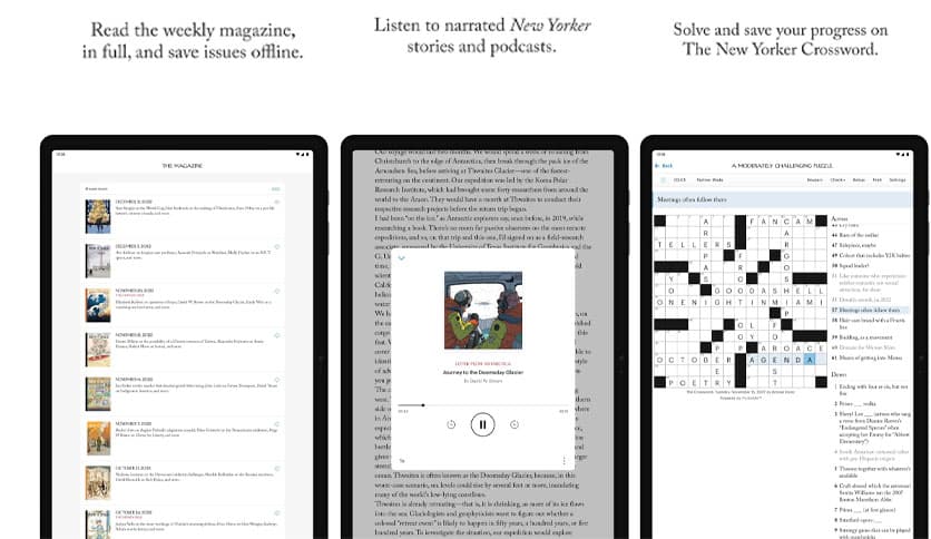 https://media.imgcdn.org/repo/2023/03/the-new-yorker/the-new-yorker-free-download-02.jpg