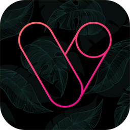 Vera Outline Icon Pack