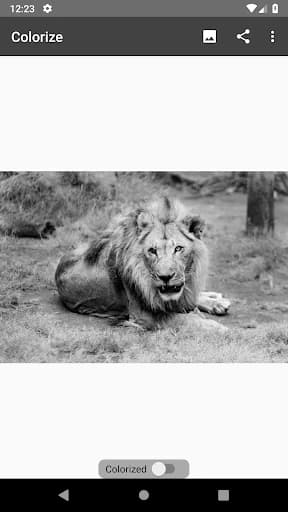 https://media.imgcdn.org/repo/2023/07/colorize-images/64aea13fbec56-colorize-images-screenshot2.webp